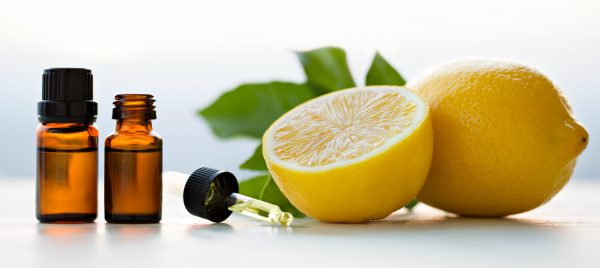 (ORLIO/Shutterstock)