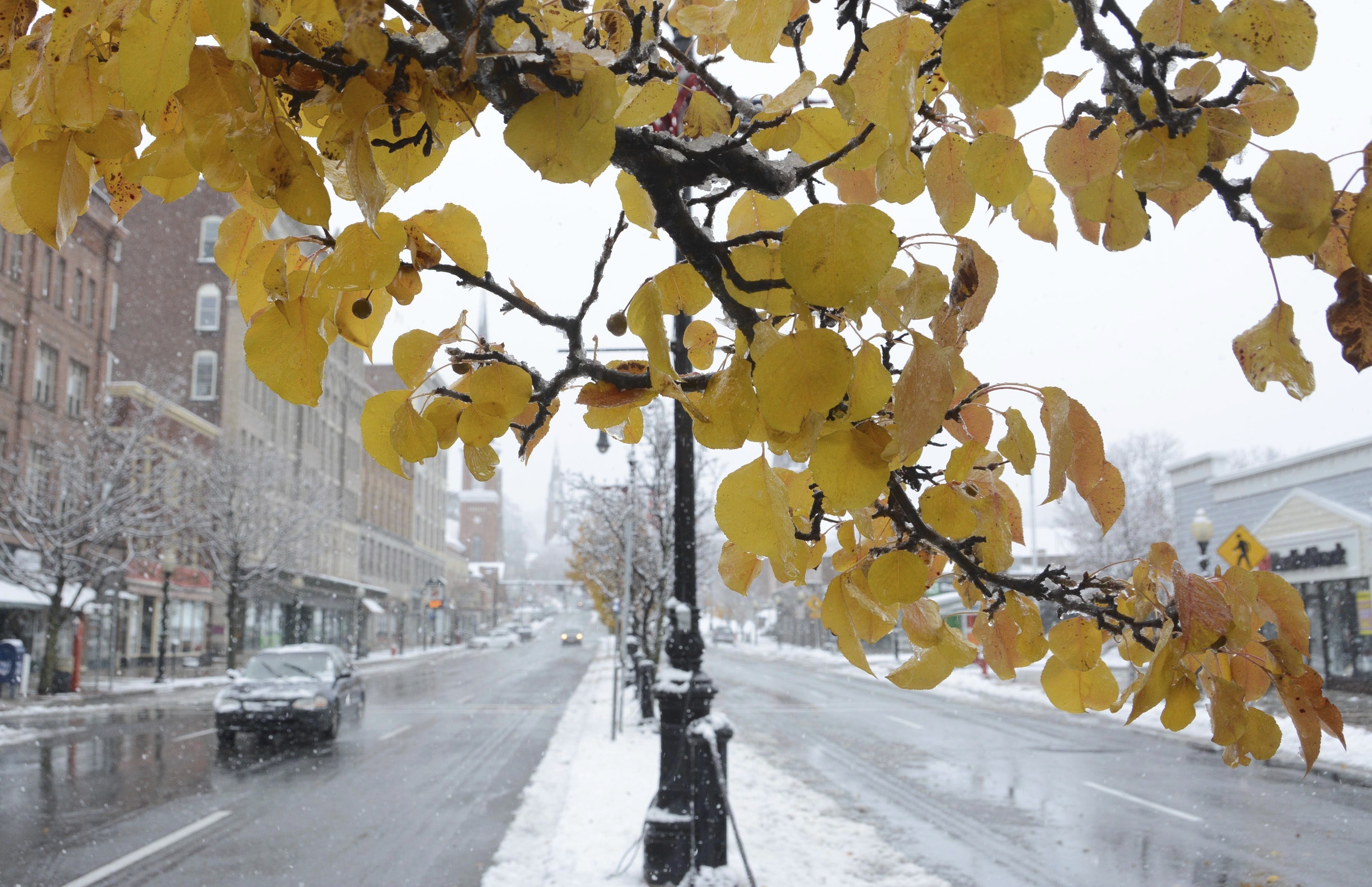 Snow blankets the median on Main Street while a tree maintain its autumn leaves during a storm in North Adams, Mass., on Nov. 20, 2016. (Gillian Jones/The Berkshire Eagle via AP)