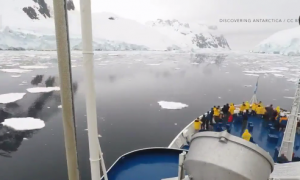 Record-Low Sea Ice Levels in Arctic and Antarctic (Video)