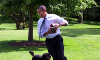 Trump Could Be First President With No Pet in Over a Century (Video)