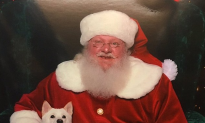 Dog Meets Real-Life Version of Its Favorite Santa Toy (Video)