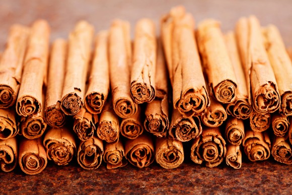 (matka_Wariatka/Shutterstock)