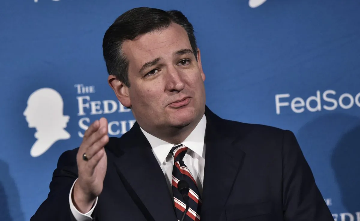 Senator Ted Cruz, R-TX,  speaks during the 2016 National Lawyers Convention sponsored by the Federalist Society in Washington, DC on Nov. 18, 2016. (MANDEL NGAN/AFP/Getty Images)