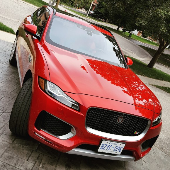 Jaguar (David Taylor)