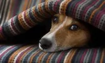 7 Cold Weather Items You’re Forgetting to Clean