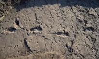 Scientists Discover 3.6-Milion-Year-Old Early Human Footprints (Video)