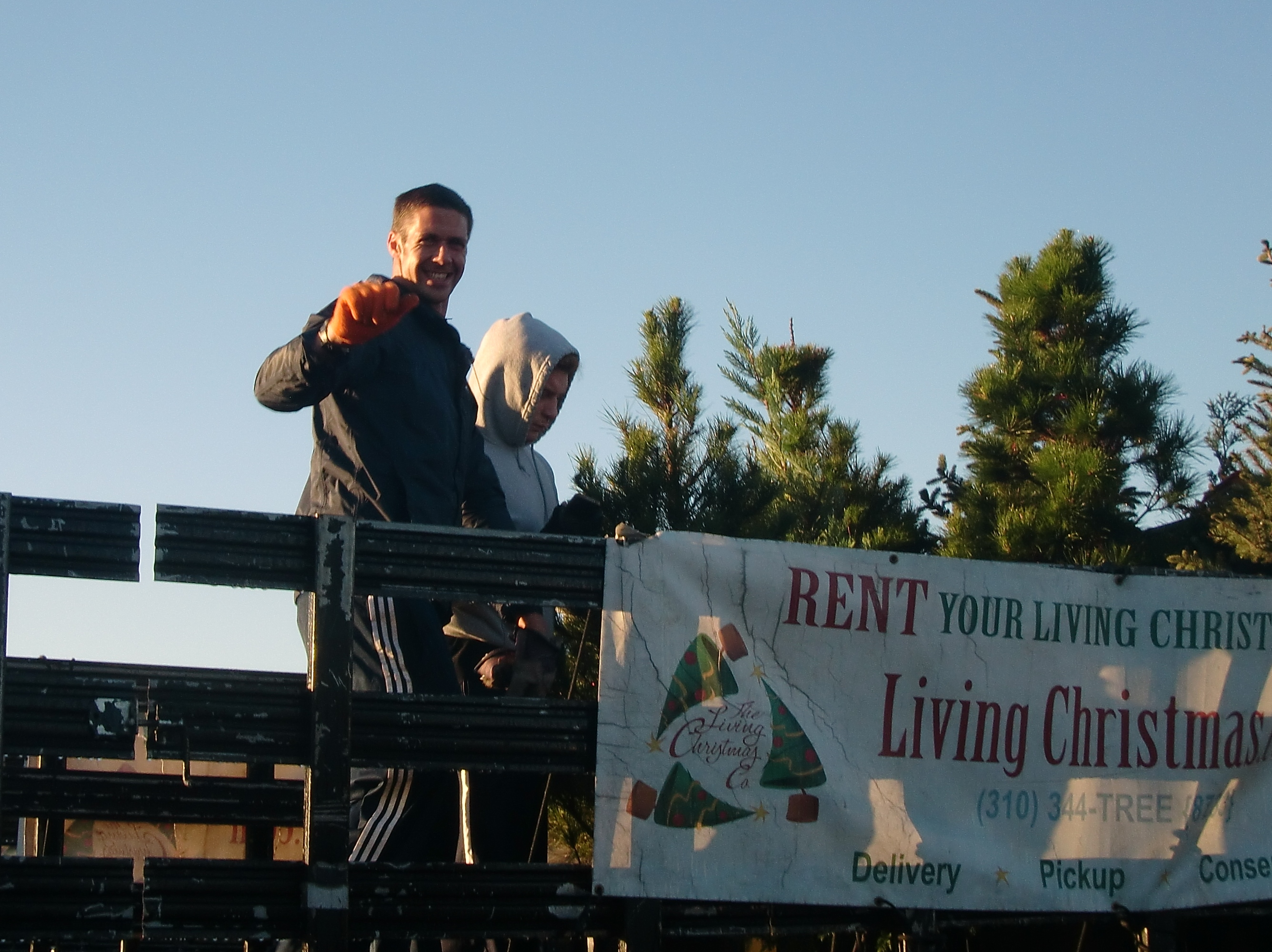 A file photo of workers at the Living Christmas Tree company loading live trees for delivery to people's homes. (Courtesy of the Living Christmas Tree Company)