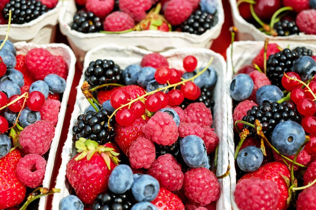 Berries (Couleur/Pixabay)