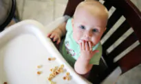 ‘Alarm Bell’: All Commercial Baby Food in Australia Failing Global Standards