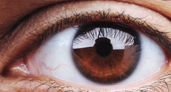 CNN: ‘All Human Eyes Are Brown’ (Video)