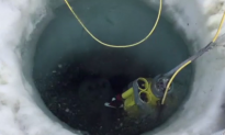 Antarctic Explorers Find Thriving Sea Creature Community Under the Frozen Landscape (Video)