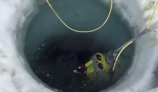 Antarctic Explorers Find Thriving Sea Creature Community Under the Frozen Landscape (Video)