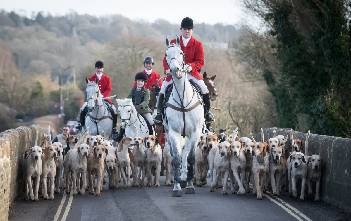 Joint Master and Huntsman Stuart Radbourn (C) leads riders for The Avon Vale Hunt's traditional Boxing Day meet in Lacock Village, England, on Dec. 26, 2016. (Matt Cardy/Getty Images)