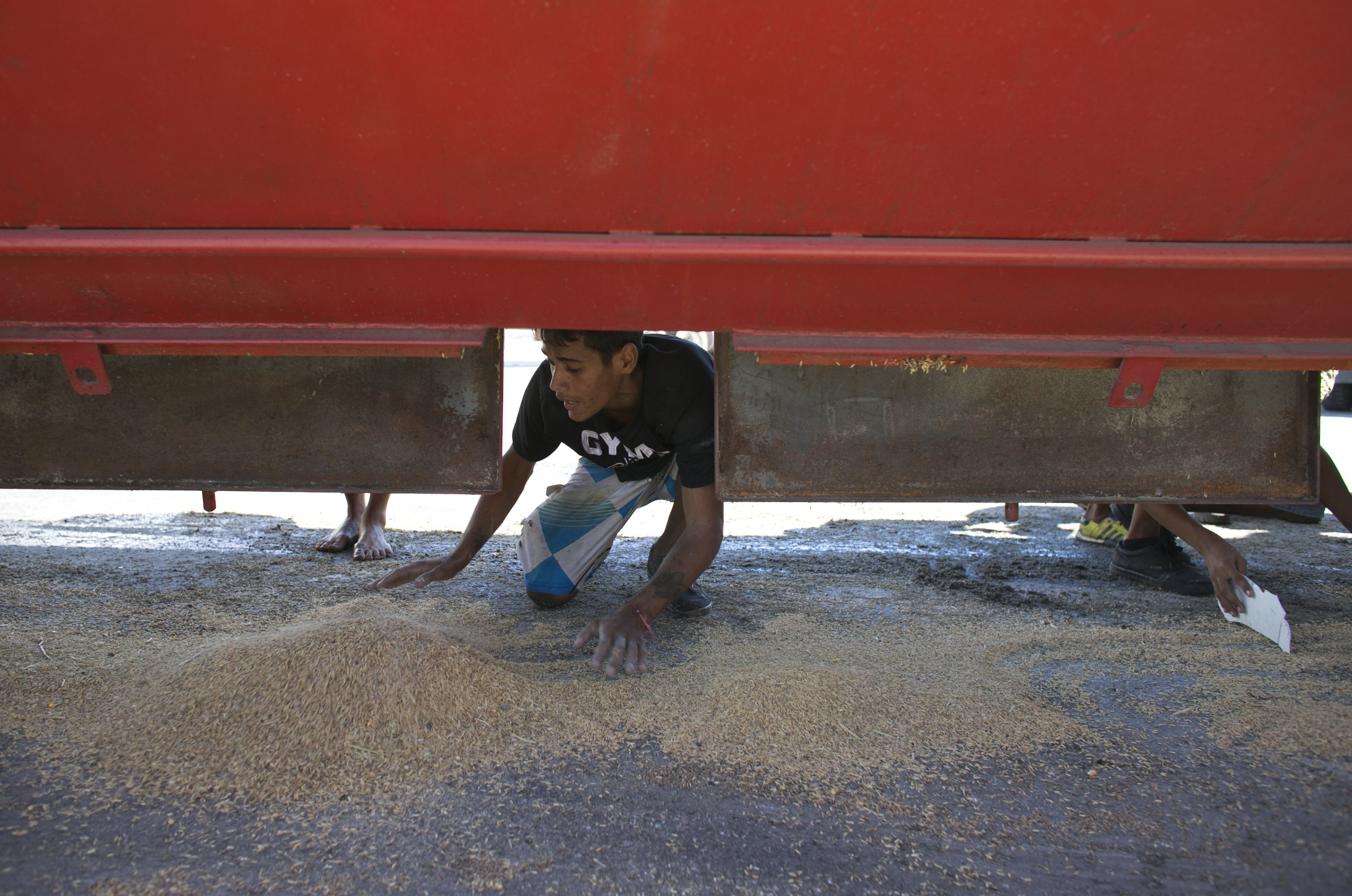 A young man collects rice that fell from a cargo truck waiting to enter the port and refill in Puerto Cabello, Venezuela on Nov. 14, 2016. (AP Photo/Ariana Cubillos)