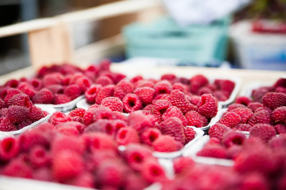 Raspberries in a stock photo (ejaugsburg/shutterstock)