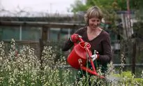 A Simple Parenting Strategy—Tend Your Garden