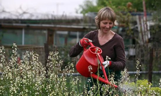 A Simple Parenting Strategy—Tend Your Garden