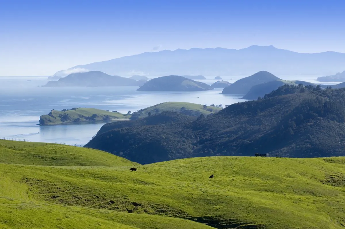 The Coromandel Peninsular-Manaia Harbour