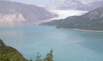 NASA’s Before and After Images Show Dramatic Changes on Earth (Video)