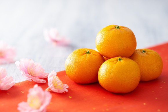 (phive/shutterstock)
