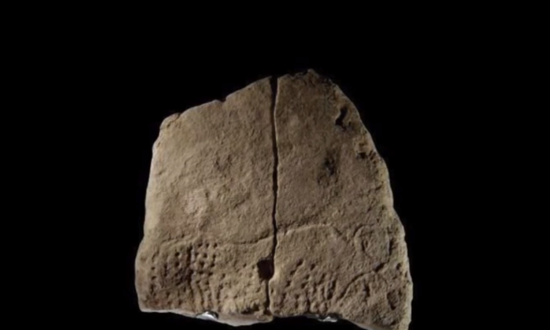 Anthropologists Find 38,000-Year-Old Art in France (Video)