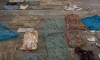 Dead Whale’s Stomach Found to Contain 30 Plastic Bags (Video)