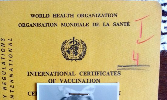 Communism and Culture: Another, Different Kind of Immigrant Experience