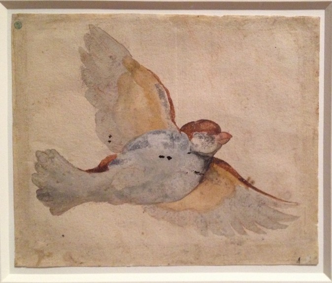 "Flying Sparrow," circa 1517–1518, by Giovanni da Udine (Italian, 1487–1561) Watercolor and gouache over red chalk, Nationalmuseum of Sweden. (Milene Fernandez/Epoch Times)