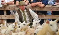 Brexit Trade Deals Could Change the British Landscape