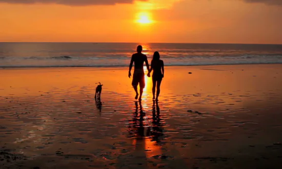 Study Finds Stress Hormone Levels Lower Among the Married (Video)