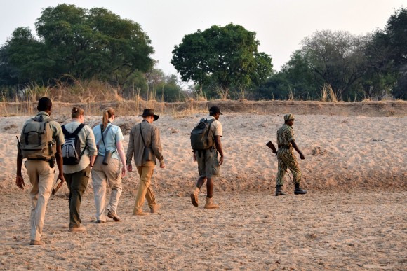 Walking in single file is said to be less threatening to wild game. (Giannella M. Garrett)