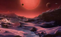 NASA Announces 7 New Planets (Video)