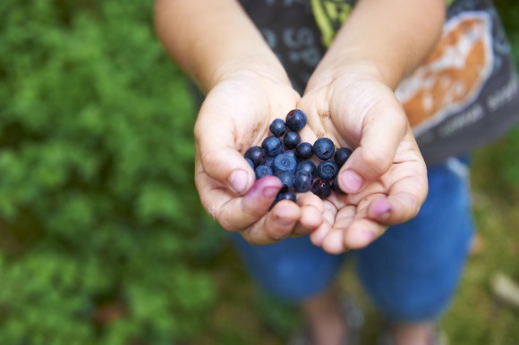 (Petr Bonek/Shutterstock)