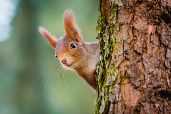 (VOJTa Herout/Shutterstock)