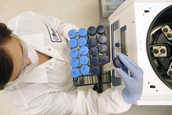Sarah Bettinger, a Senior DNA Analyst I at Bode Technology, removes tubes containing crushed bone from a centrifuge during the process of DNA extraction of bone samples from Mexico at the lab in Arlington, Va. on Oct. 12, 2010. More police departments are amassing their own DNA databases, a move critics say is a way around stringent regulations governing state crime labs and the national DNA database (AP Photo/Jacquelyn Martin, File)