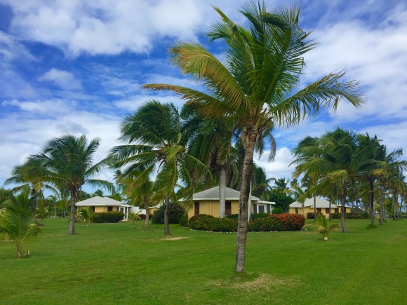 Nisbet Plantation. (Janna Graber)