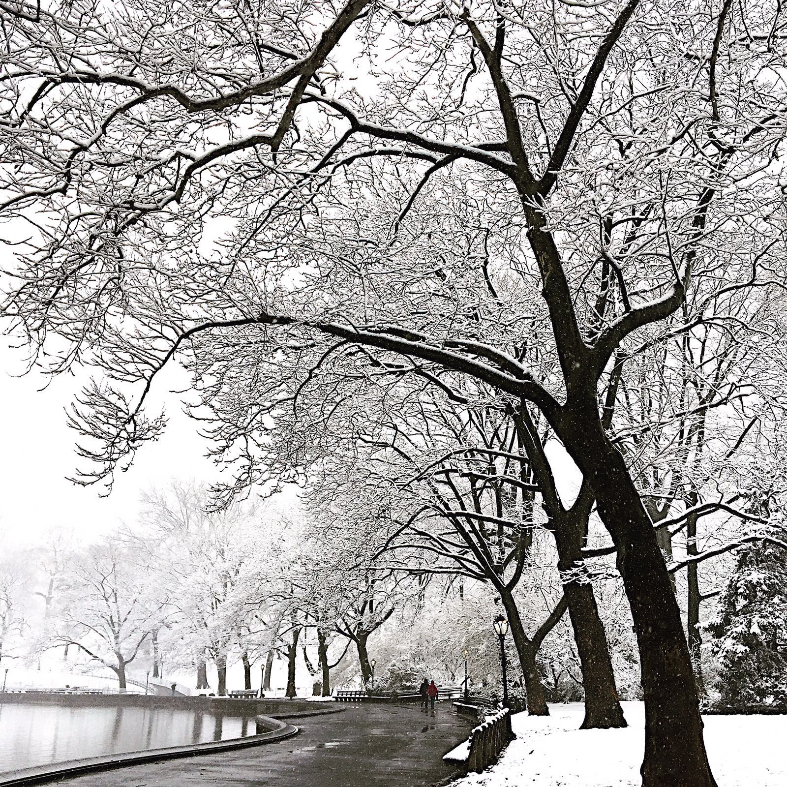 Central Park in New York. (Photo by Ceyda Erdinc)