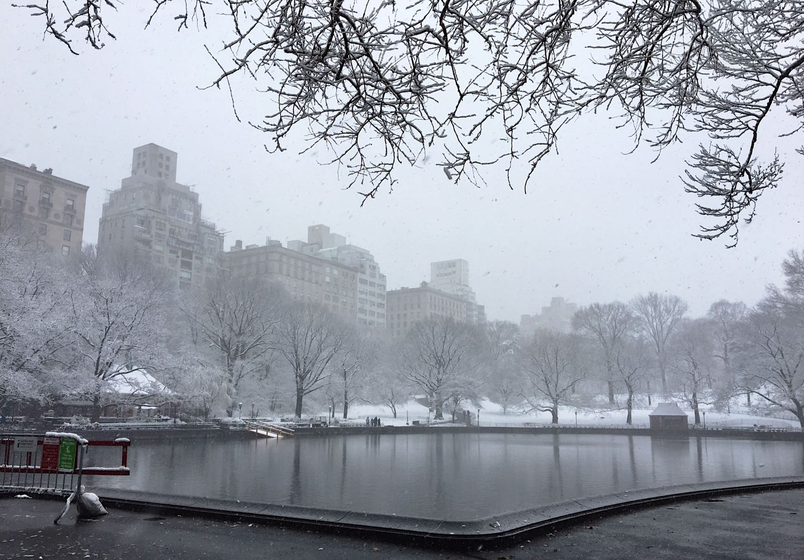 Central Park in New York. (Photo by Ceyda Erdinc)