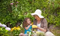 Spring: A Great Time for a New Year’s Resolution