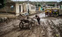 Peru Reports Nearly 150,000 Dengue Cases Amid El Niño Rains; Over 1,300 Hospitalizations Daily