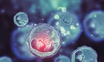 Are Toxic Chemicals Turning Boys Into Girls?