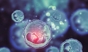 Are Toxic Chemicals Turning Boys Into Girls?