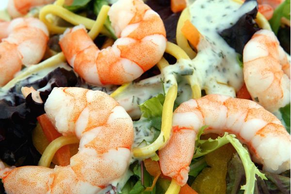 Shrimp