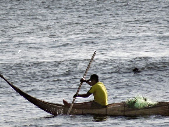 Riding the surf in a caballito de totora, a traditional boat made from reeds. (David Lawes)
