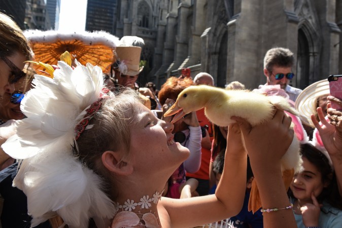 A girl holds a duck while wearing a fanciful hat during the Easter Parade and Bonnet Festival along 5th Avenue in New York City on April 16, 2017. The pageant is an annual tradition that stretches back to the 1870s. (Stephanie Keith/Getty Images)