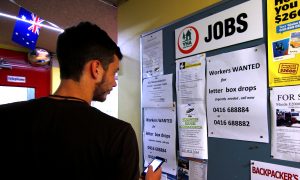 Jobless Rate to Stay Low Despite Looming Economic Woes