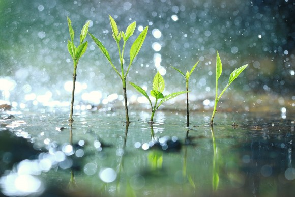 (Kichigin/Shutterstock)