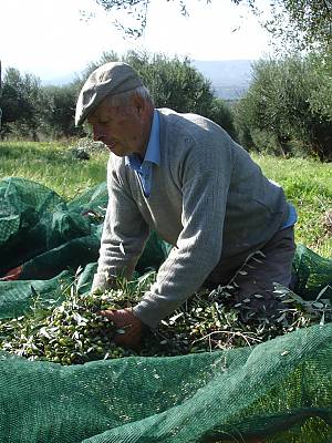 According to UNESCO, the Mediterranean way of eating involves a set of "skills, knowledge, rituals, symbols and traditions concerning crops, harvesting, fishing, animal husbandry" as well as conservation, processing, cooking and the way families get together to eat. (Courtesy UNESCO)