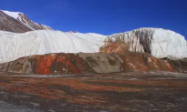 Century-Old Mystery of Antarctica’s Blood Falls Solved, Scientists Say (Video)