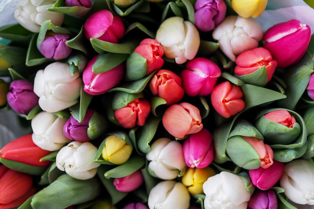 (Gábor Juhász/Unsplash)